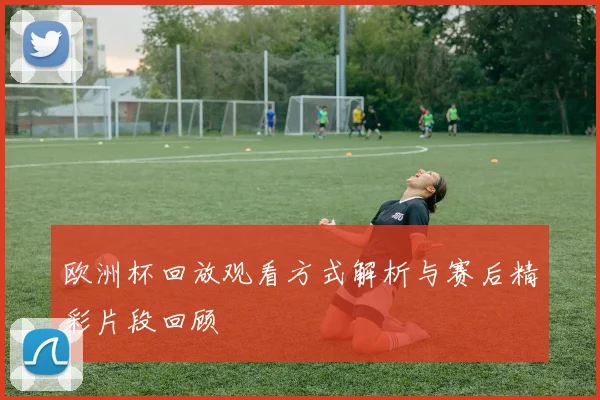 欧洲杯回放观看方式解析与赛后精彩片段回顾