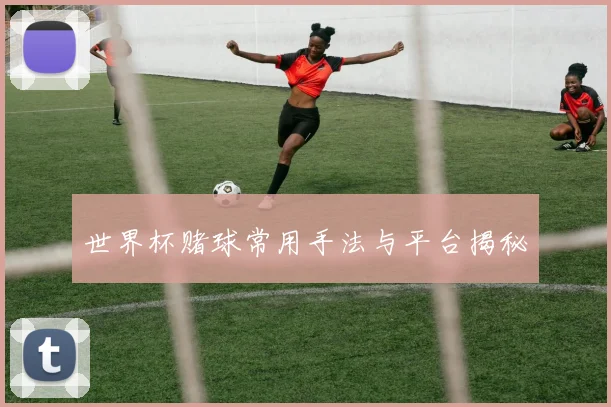 世界杯赌球常用手法与平台揭秘