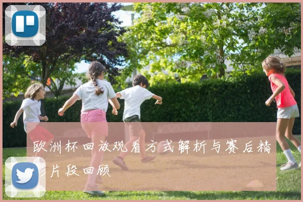 欧洲杯回放观看方式解析与赛后精彩片段回顾