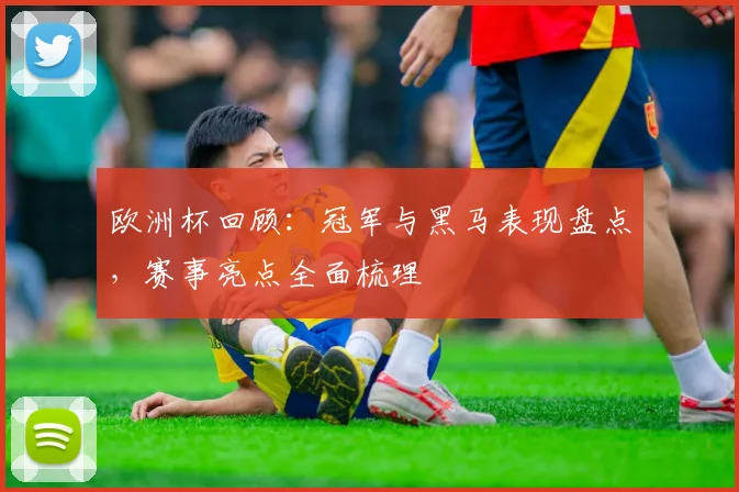 欧洲杯回顾:冠军与黑马表现盘点,赛事亮点全面梳理