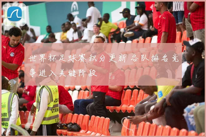 世界杯足球赛积分更新 各队排名竞争进入关键阶段